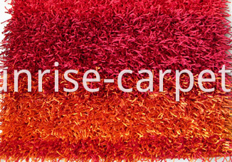 Viscose Shaggy with Design Carpet